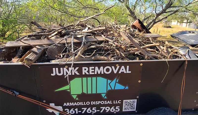 Brush Removal Services near Corpus Christi, Texas